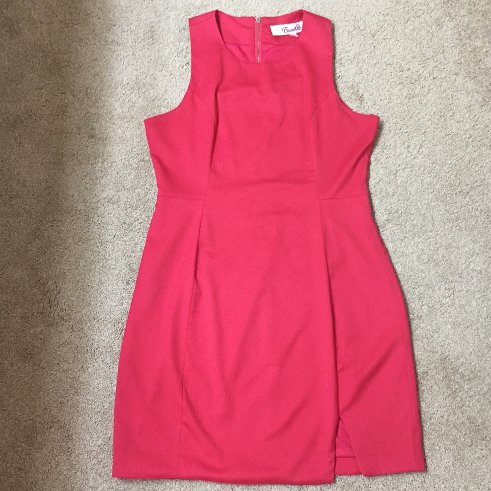 Francesca's Bright Pink Dress